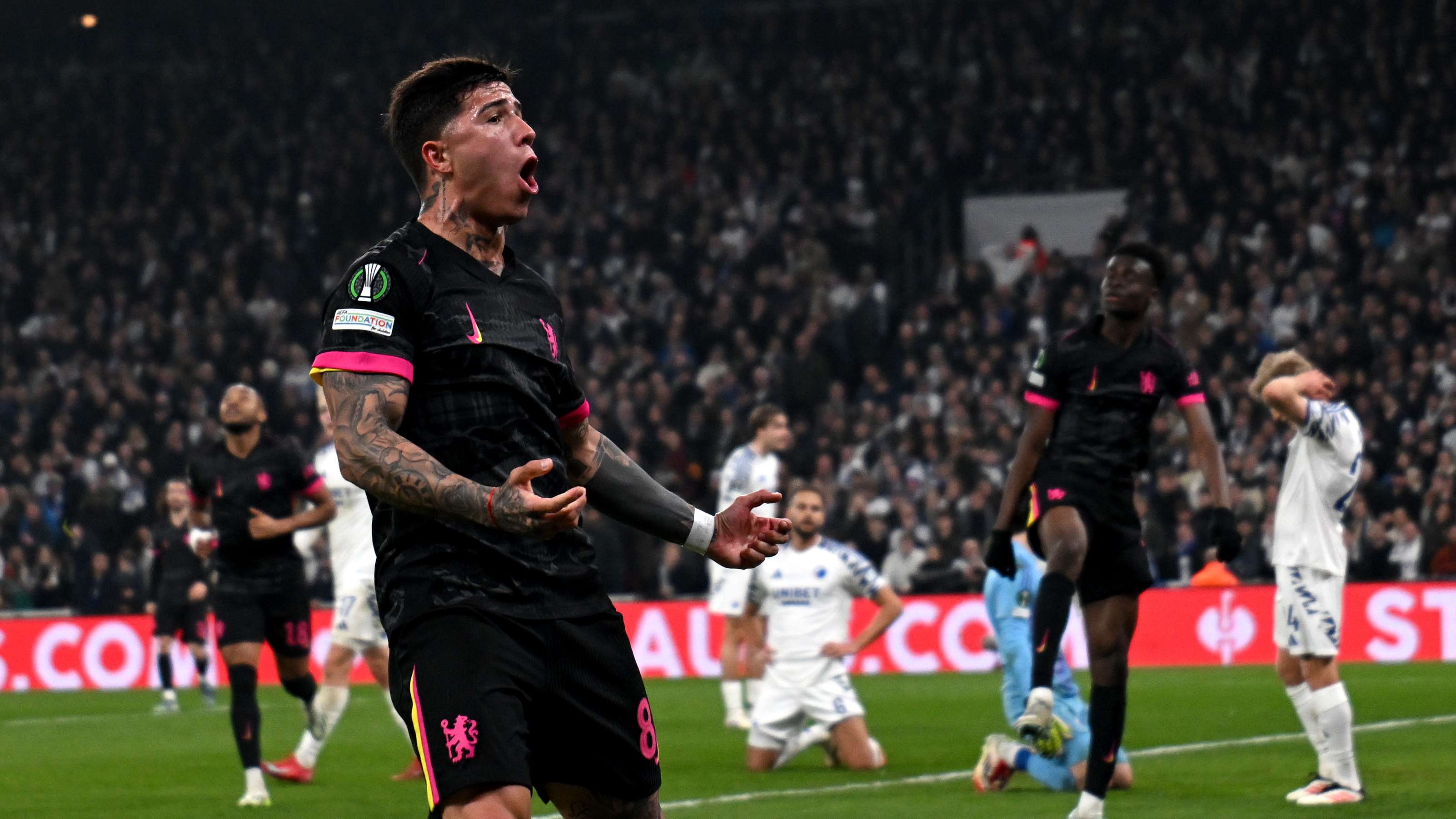 在这一计划 在这一计划