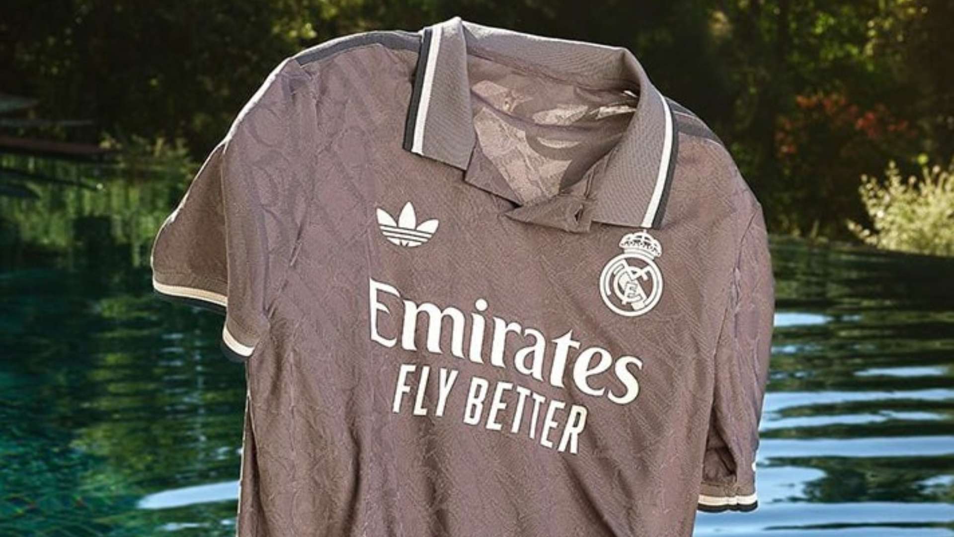 的指导和专 的指导和专