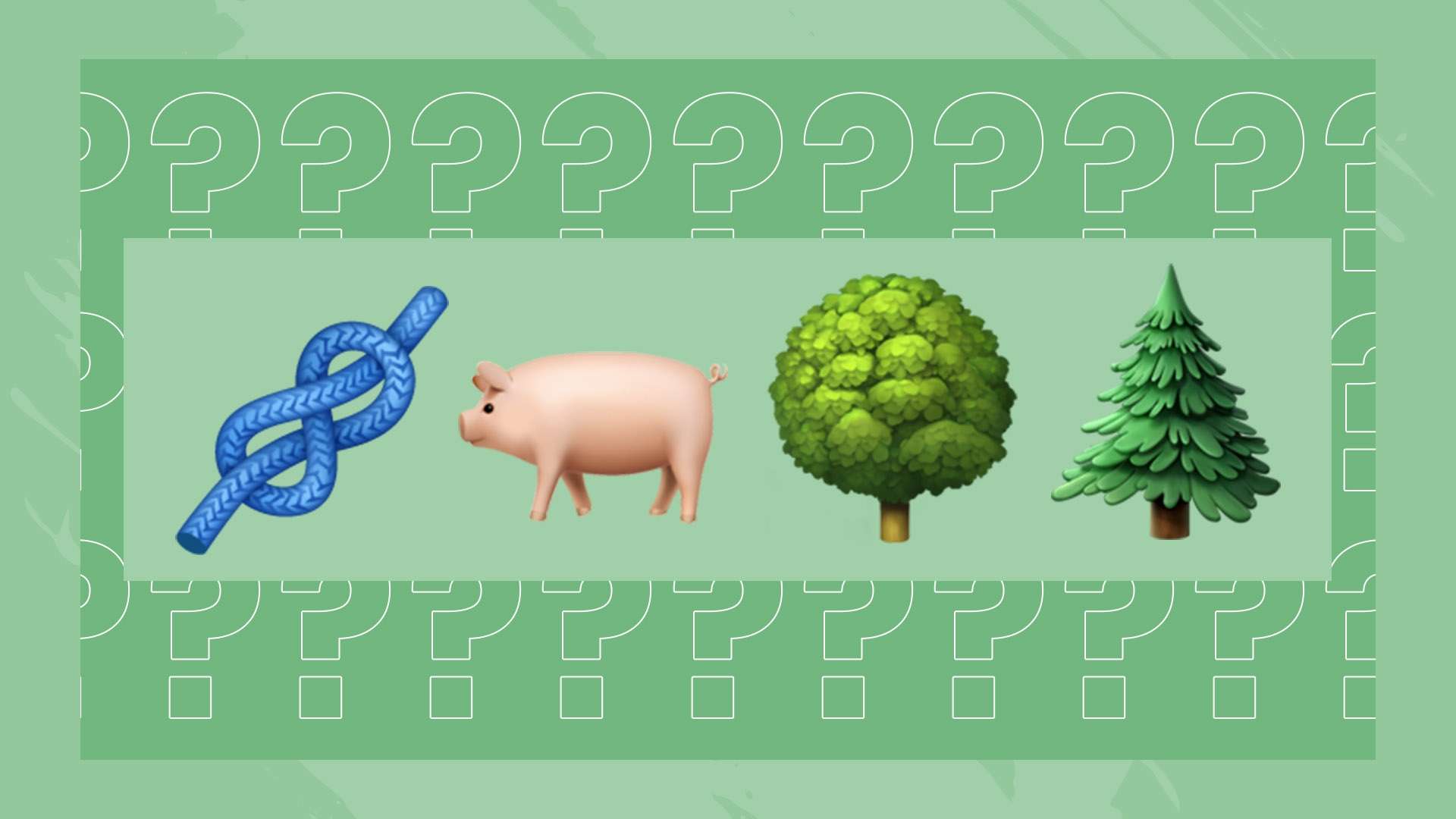 仅提升了球 仅提升了球