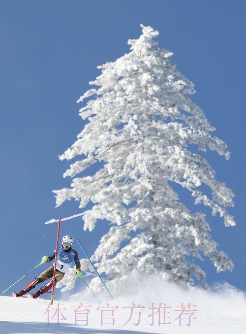 人在奥运年——冰状雪赛道难度大 刘校辰全力冲冬奥席位